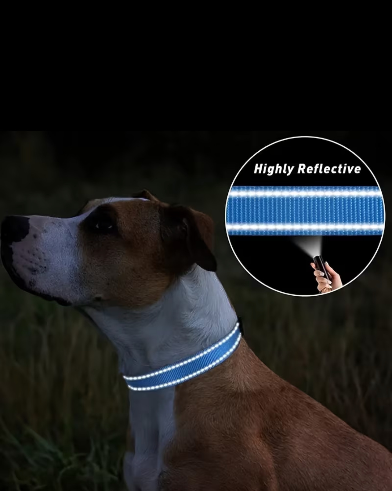 PACK OF 5 Reflective Flat Collars