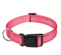 PACK OF 5 Reflective Flat Collars