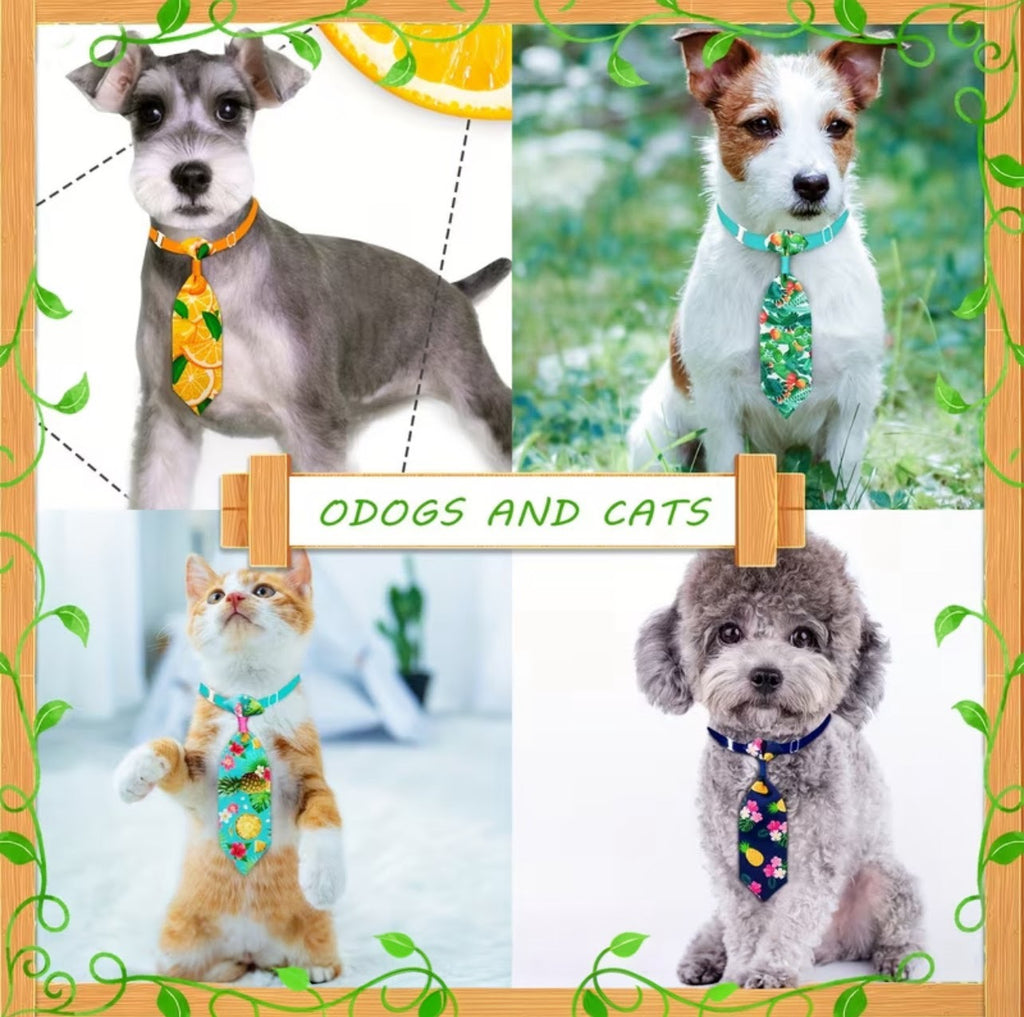 1pc Random Pattern Pet Neck Tie