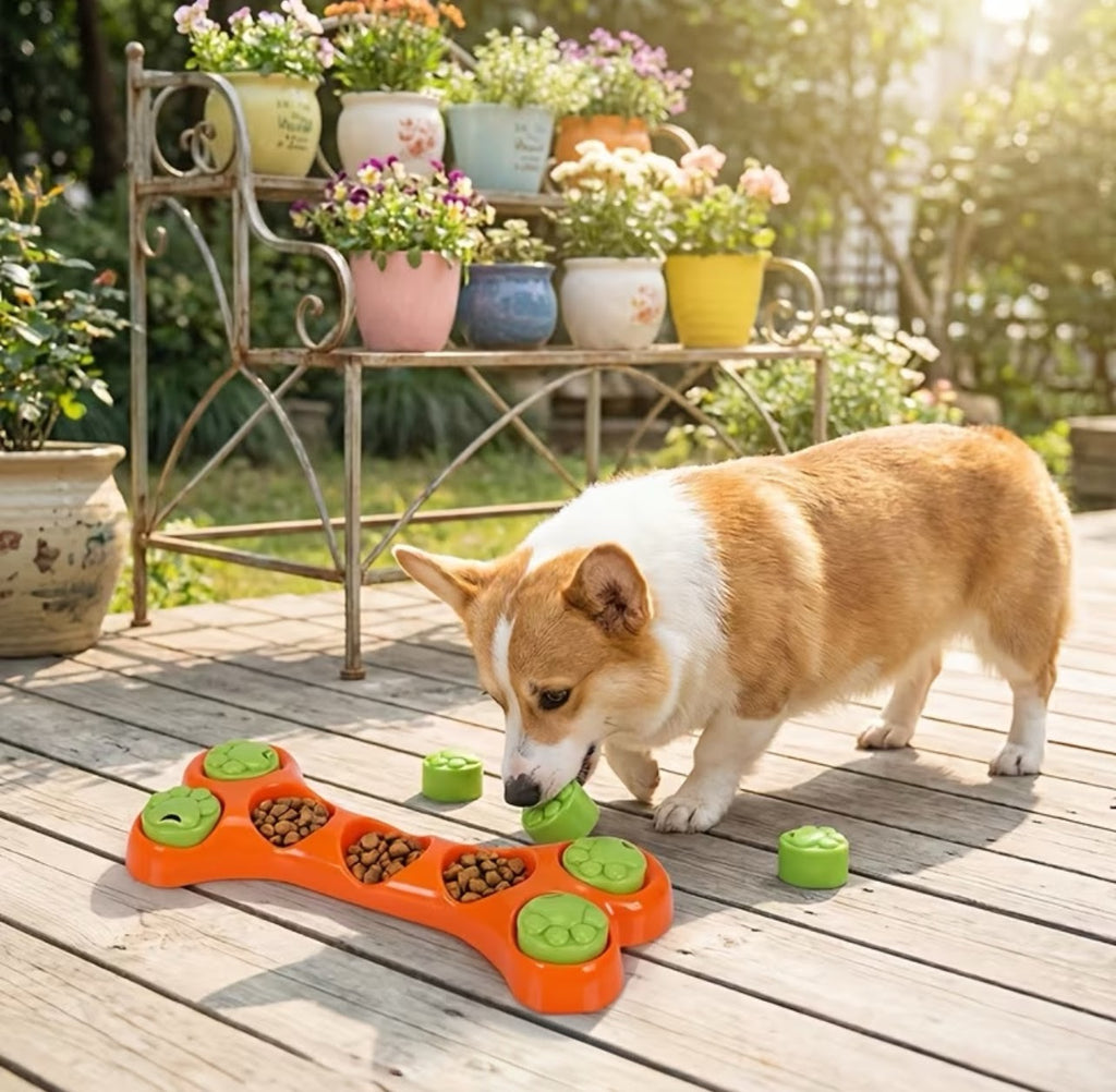 1ct Slow Feeder Bone Puzzle Toy
