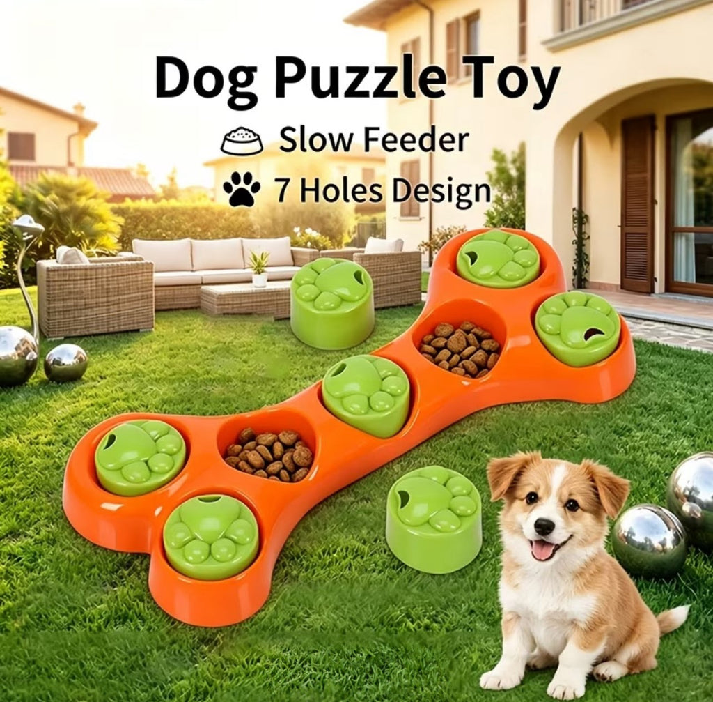 1ct Slow Feeder Bone Puzzle Toy