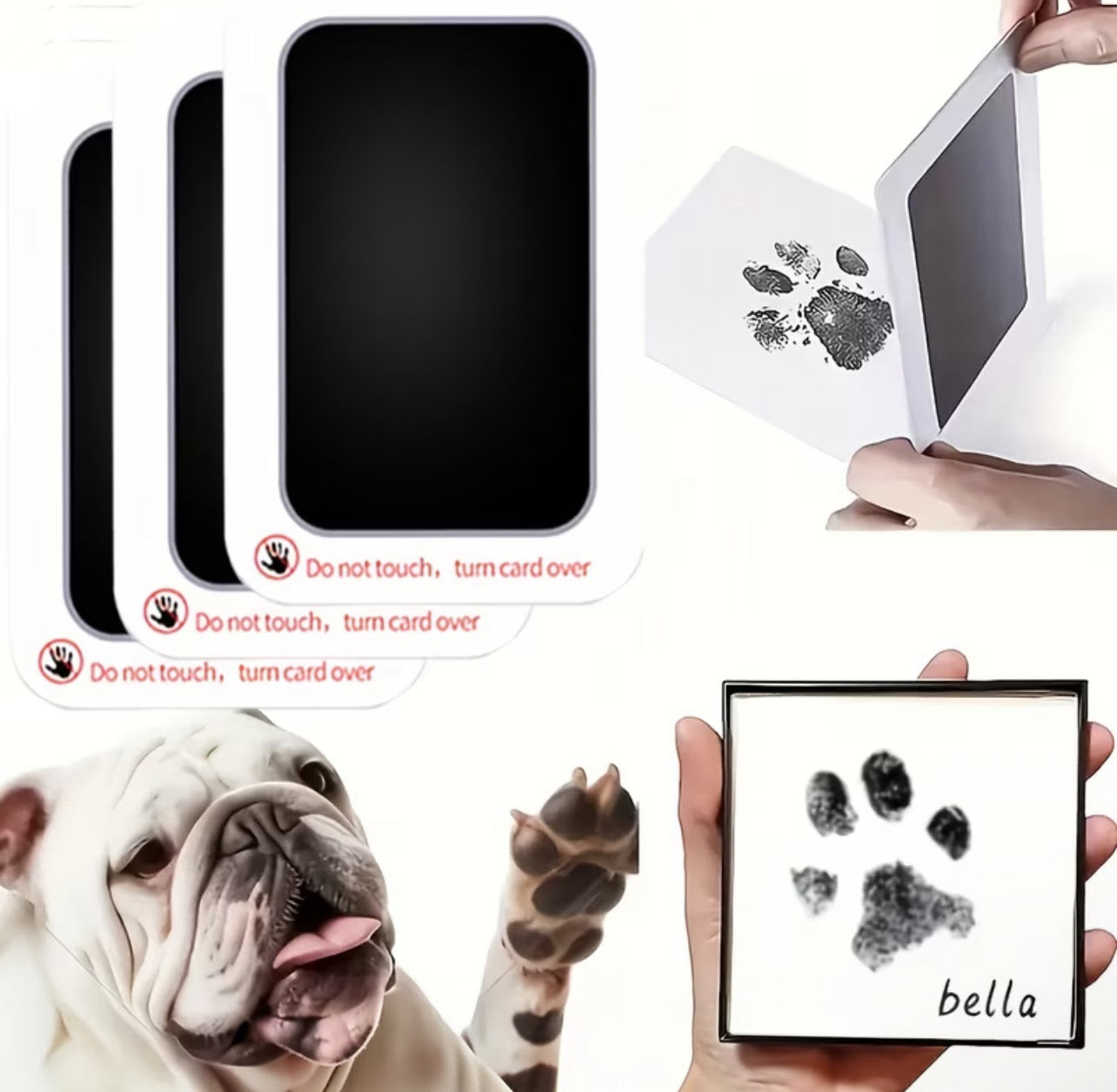 1ct Pet Friendly Paw Print Pad
