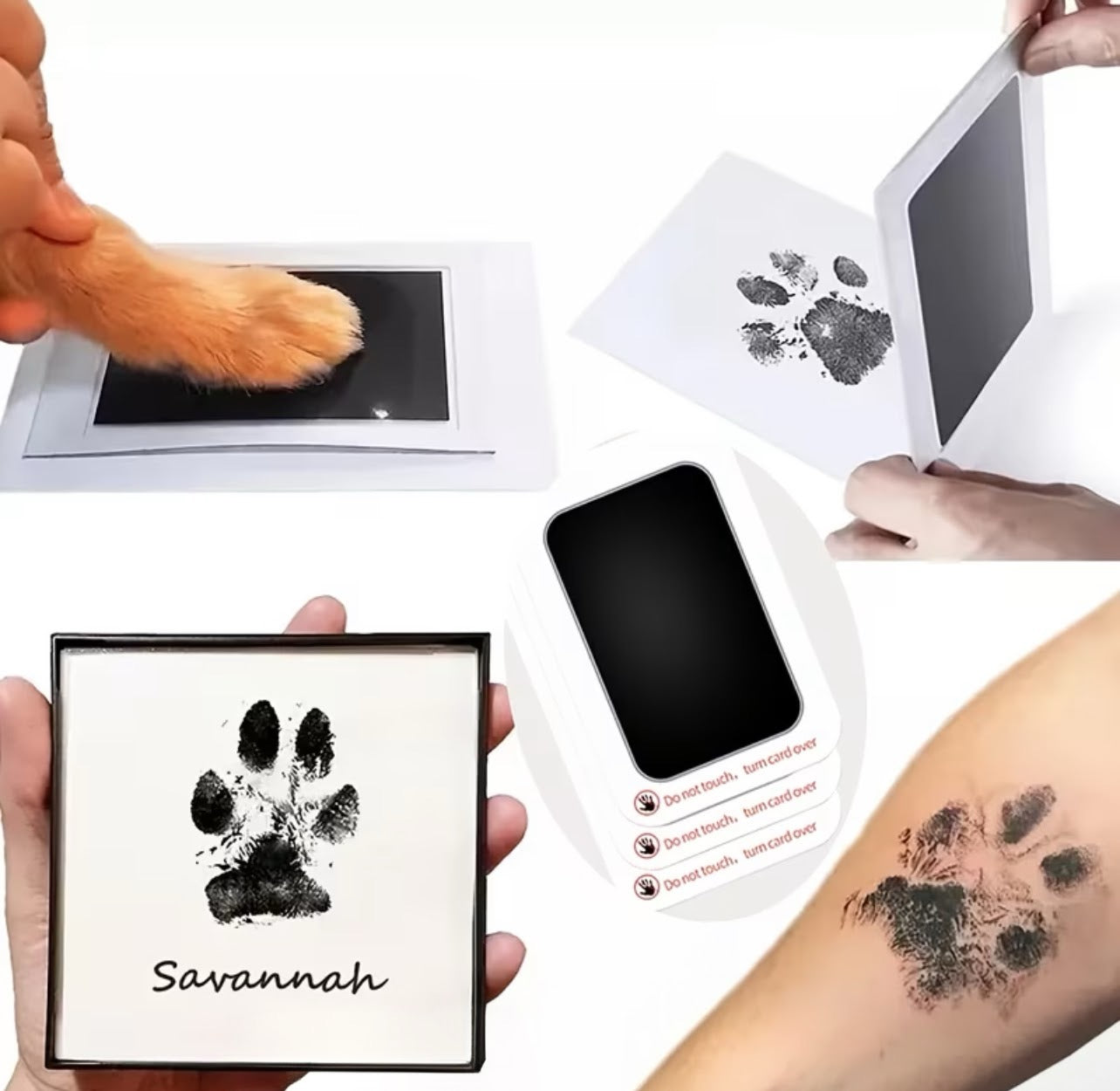 1ct Pet Friendly Paw Print Pad
