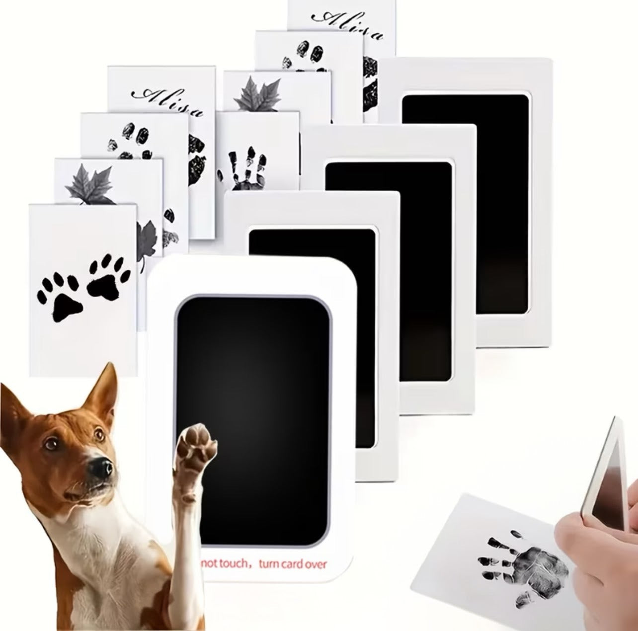 1ct Pet Friendly Paw Print Pad