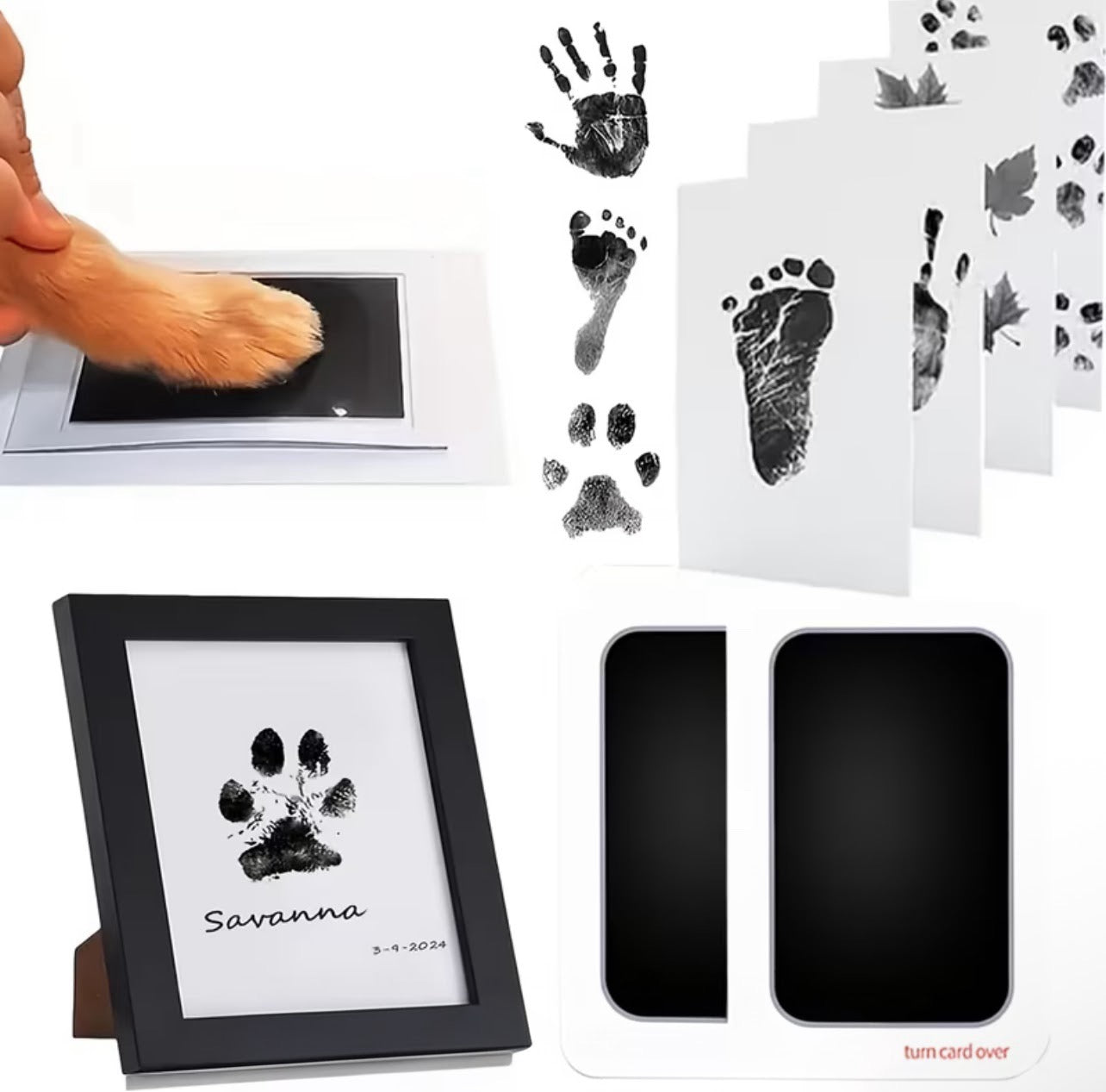 1ct Pet Friendly Paw Print Pad