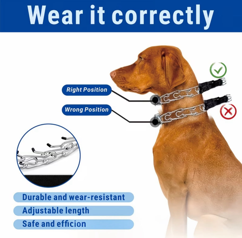 1ct Prong Training Collar For Dogs