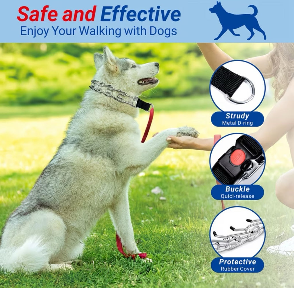 1ct Prong Training Collar For Dogs