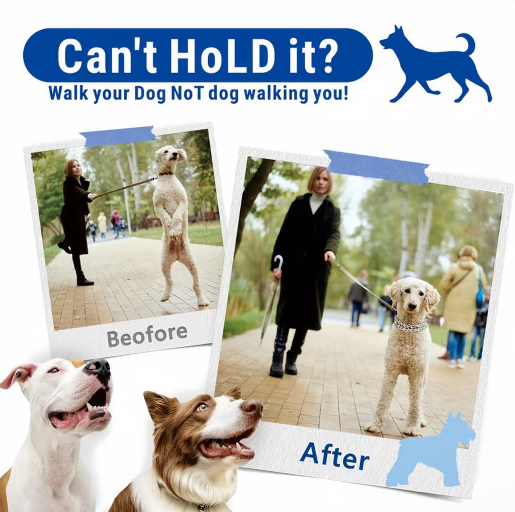 1ct Prong Training Collar For Dogs