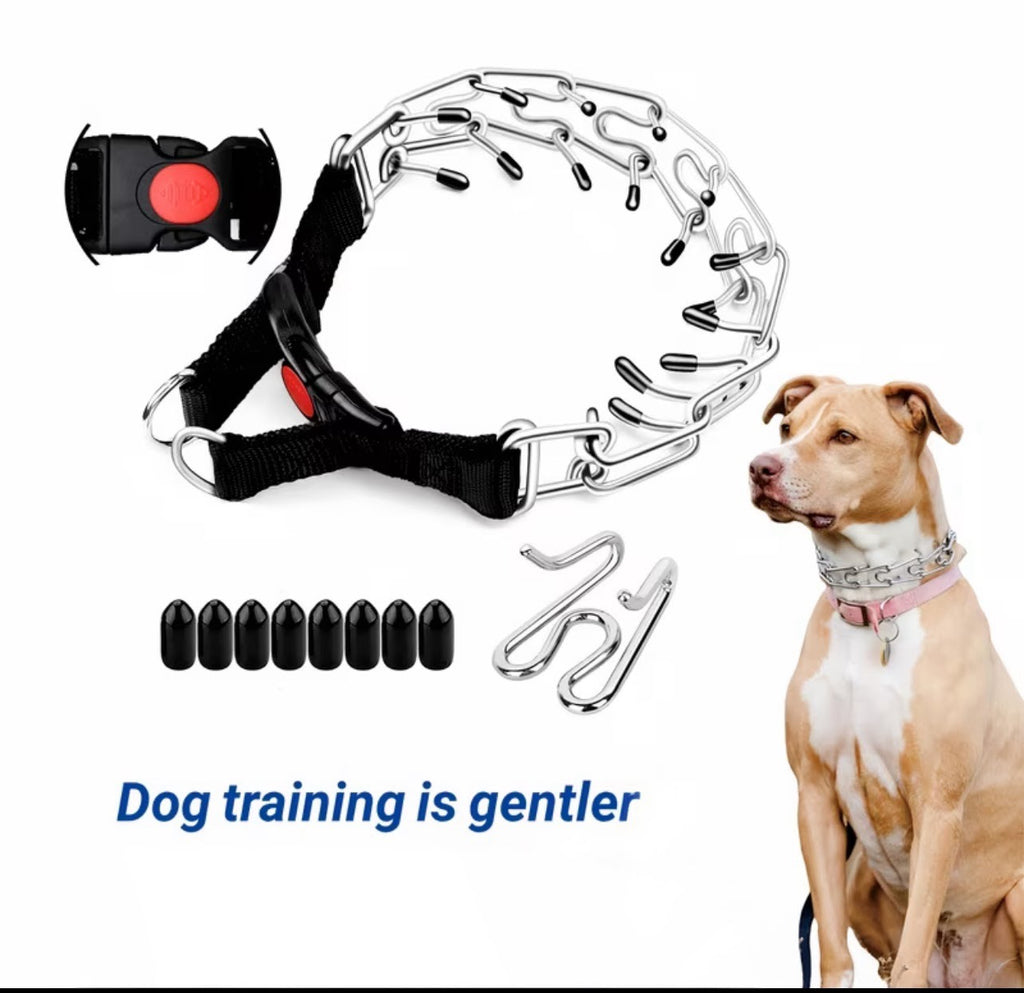 1ct Prong Training Collar For Dogs
