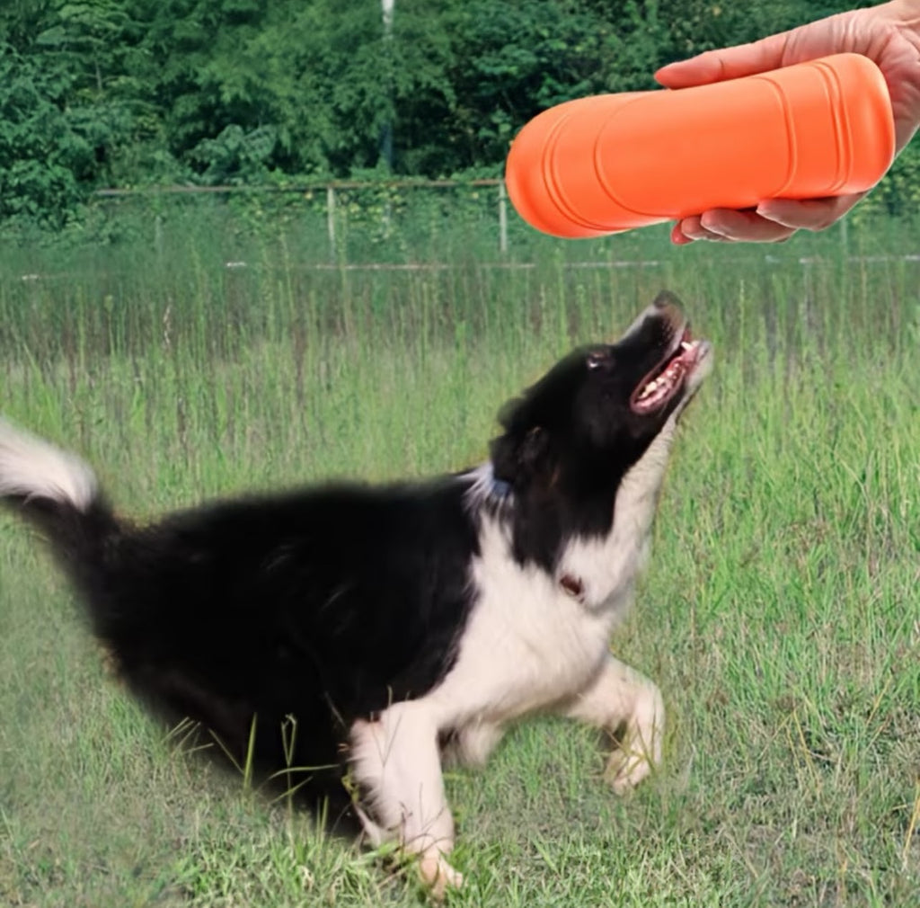 1pc Thin Rubber Frisbee Toy