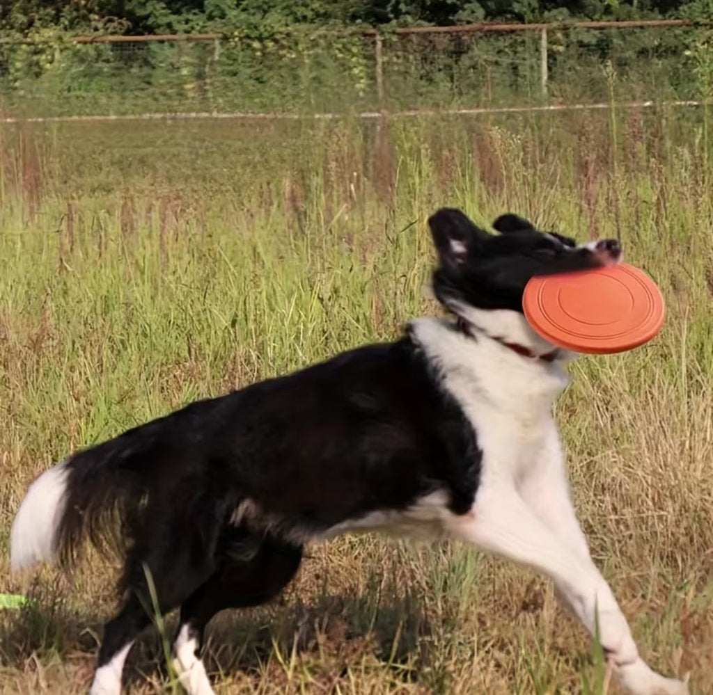 1pc Thin Rubber Frisbee Toy