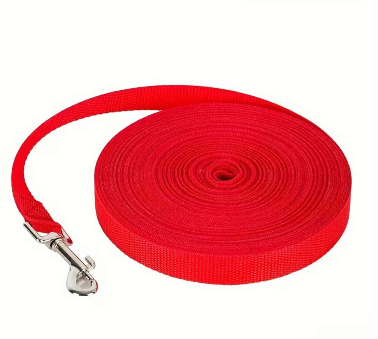 Long Line Training Leash 10ft