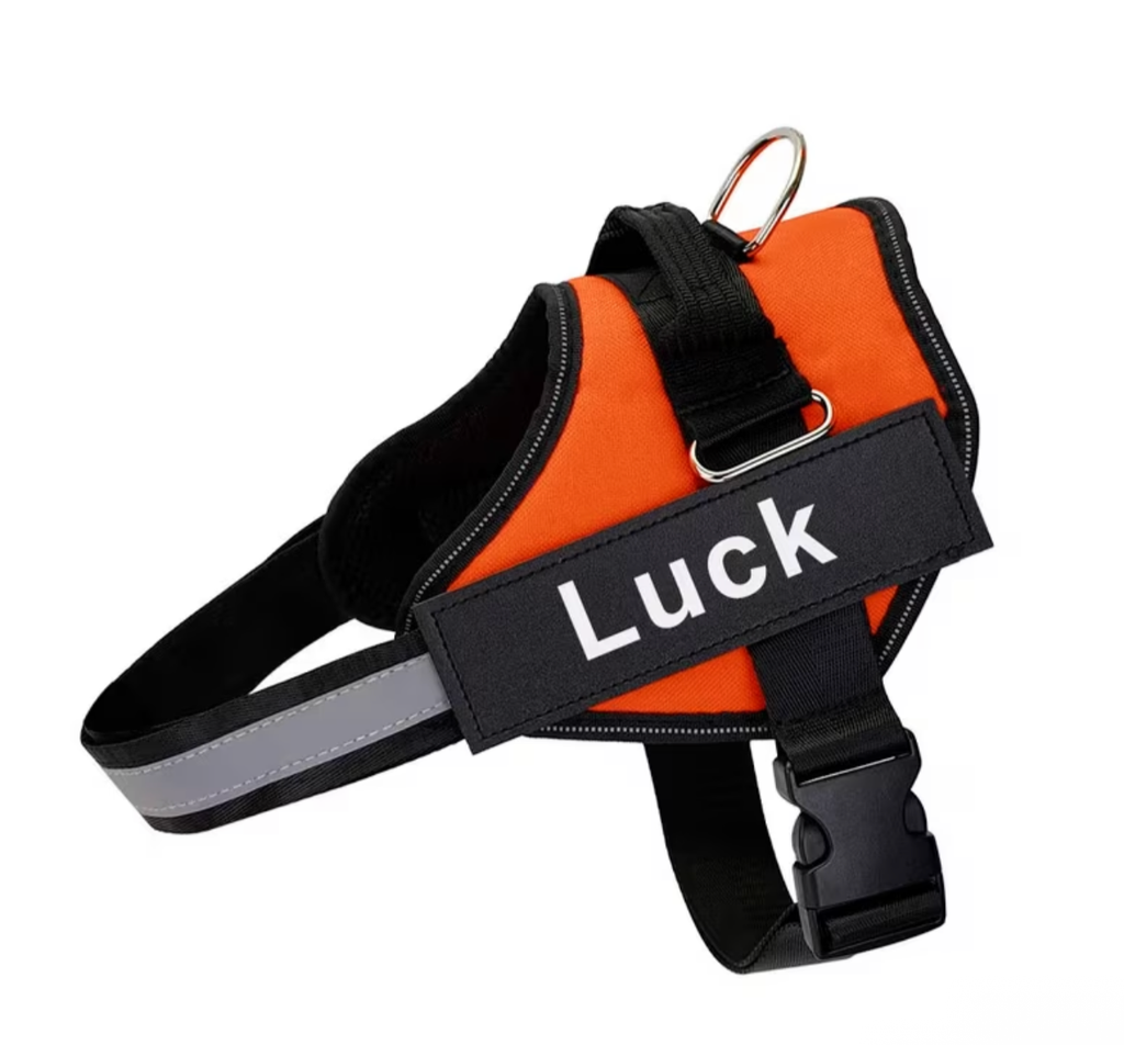 CUSTOM Dog Harness