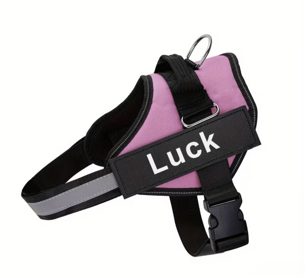 CUSTOM Dog Harness