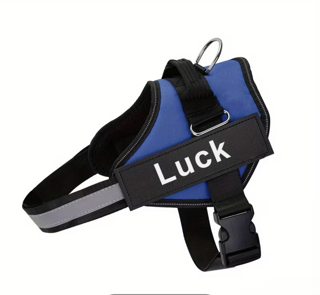 CUSTOM Dog Harness
