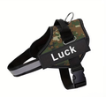 CUSTOM Dog Harness