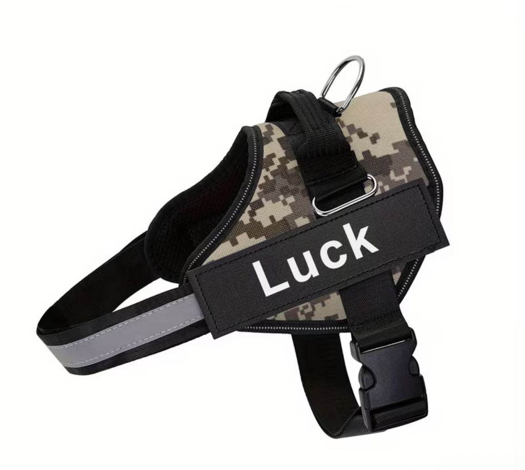 CUSTOM Dog Harness