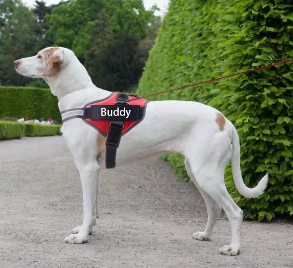CUSTOM Dog Harness